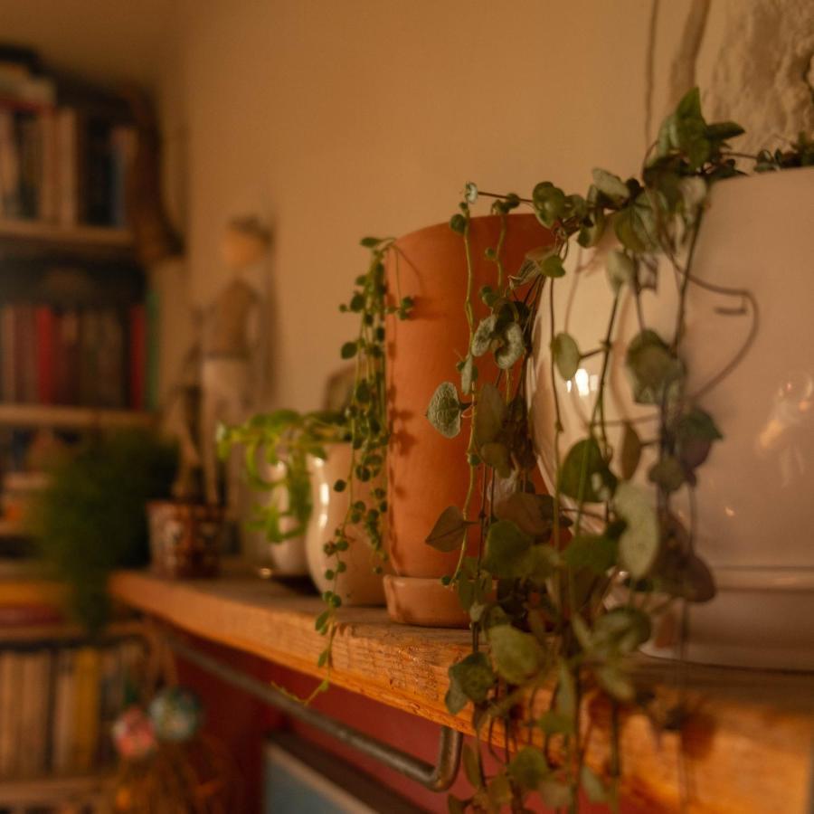 Udabno Hostel エクステリア 写真